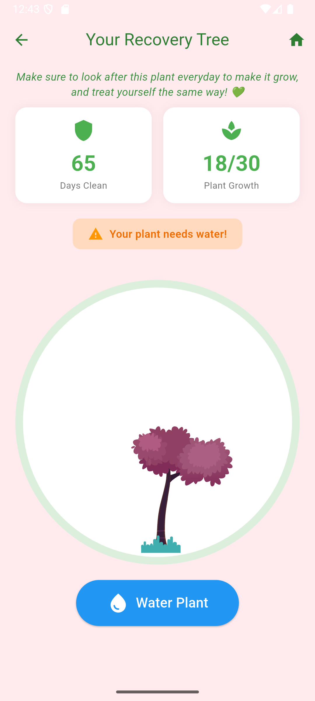Recovery Tree needs water